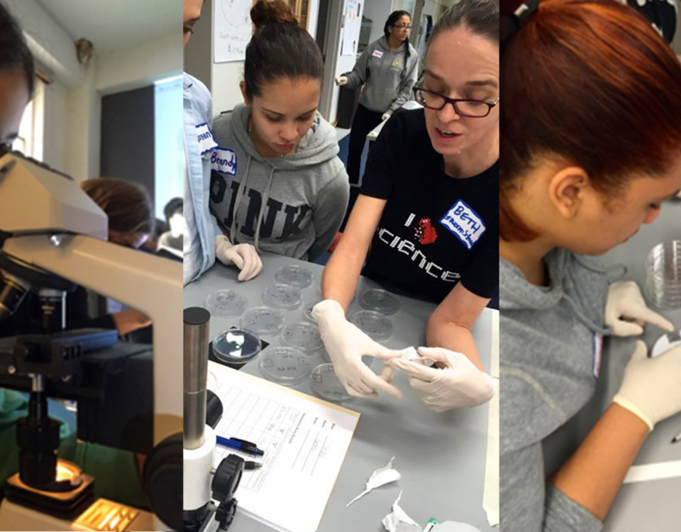 Participantes en un taller de ciencia