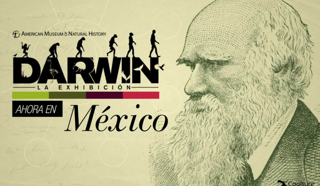 Museos 1